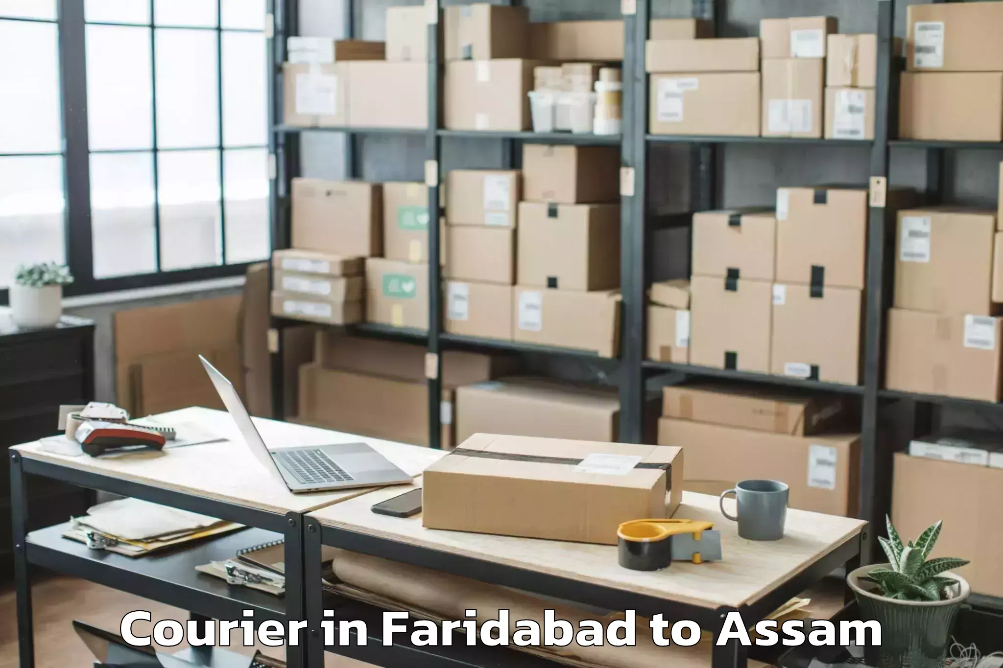 Book Faridabad to Chenga Courier Online